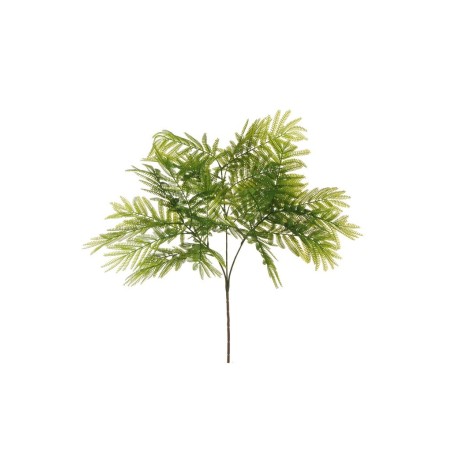 Lot de 12 - Tige artificielle d'acacia X3, 80 cm - vert 
