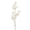 Lot de 12 - Longue branche artificielle de petrea volubilis, 154 cm - crème 