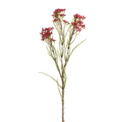Lot de 24 - Tige artificielle de fleurs de cire X3, 79 cm - fuchsia foncé 
