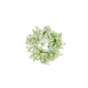 Lot de 12 - Petite couronne artificielle de gypsophile, D. 20 cm - blanc crème 