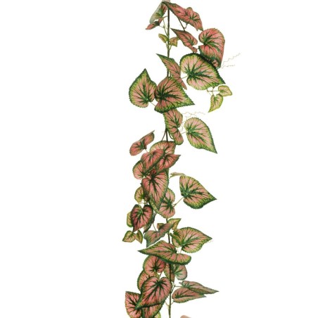 Lot de 12 - Guirlande artificielle de caladium, 180 cm - vert fuchsia 