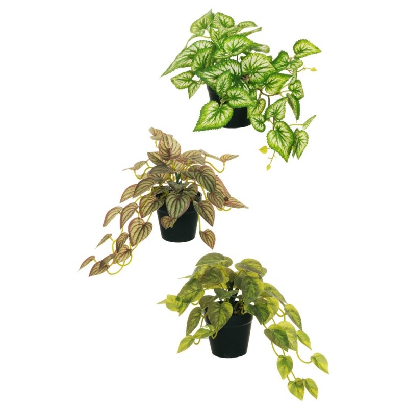 Lot de 6 - Mini plantes suspendues artificielles assorties en pot, 18 cm - vert crème jaune 