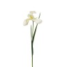 Lot de 12 - Iris artificiel toucher réel, 55 cm - crème 