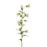 Lot de 12 - Tige artificielle de campanule, 86 cm - blanc 