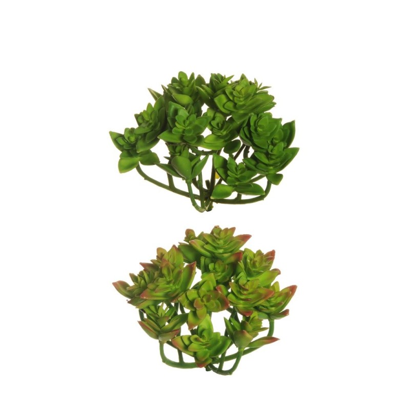 Lot de 24 - Mini echeveria artificielle, 21 cm - vert vert clair bordeaux 