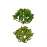 Lot de 24 - Mini echeveria artificielle, 21 cm - vert vert clair bordeaux 