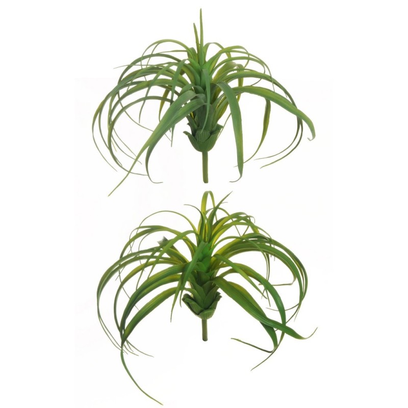 Lot de 24 - Plante artificielle de tillandsia, 23 cm - vert gris vert 