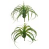 Lot de 24 - Plante artificielle de tillandsia, 23 cm - vert gris vert 