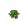 Lot de 36 - Echeveria aquarius artificielle, 15,5 cm - vert marron 