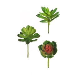Lot de 72 - Mini echeveria et crassula artificielles, 12 cm - vert clair bordeaux 