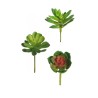 Lot de 72 - Mini echeveria et crassula artificielles, 12 cm - vert clair bordeaux 