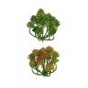 Lot de 36 - Sedum album artificiel, 21 cm - vert vert bordeaux 
