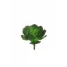 Lot de 36 - Echeveria artificielle, 14 cm - vert marron 