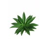Lot de 12 - Plante artificielle d'agave, 25 cm - vert 