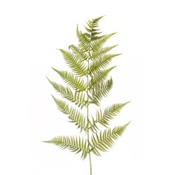 Lot de 12 - Feuille géante artificielle de fougère, 155 cm - vert 