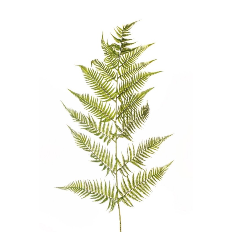 Lot de 12 - Feuille géante artificielle de fougère, 155 cm - vert 