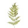 Lot de 12 - Feuille géante artificielle de fougère, 155 cm - vert 