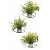 Lot de 6 - Plantes artificielles assorties de fougères en pot ciment carré, 33 cm - vert 