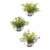 Lot de 6 - Plantes artificielles assorties de fougères en pot ciment lune, 34 cm - vert 