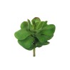 Lot de 6 - Echeveria géante artificielle, D. 33 cm - vert 