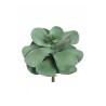 Lot de 6 - Echeveria géante artificielle, D. 33 cm - vert gris 