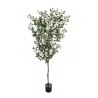 Lot de 4 - Olivier artificiel en pot, 180 cm - vert 