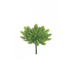 Lot de 12 - Echeveria artificielle, 23 cm - vert 