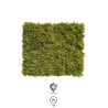 Lot de 12 - Tapis artificiel de mousse nordique anti-UV ignifugé, 50 x 50 cm - vert marron 