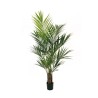 Palmier artificiel kentia en pot, 210 cm - vert 