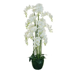 Plante artificielle de phalaenopsis toucher réel sur terreau, 155 cm - blanc 