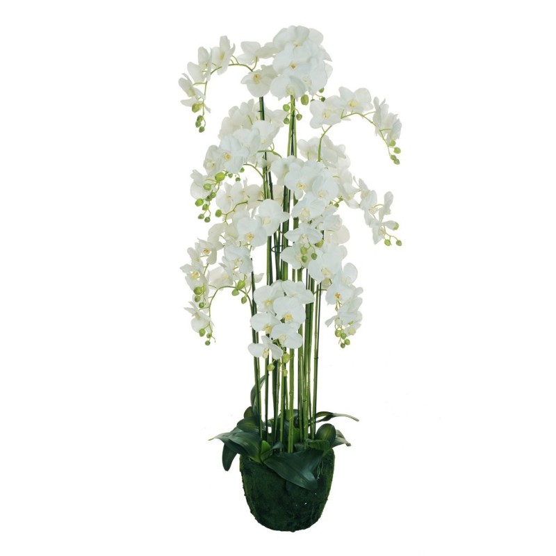 Plante artificielle de phalaenopsis toucher réel sur terreau, 155 cm - blanc 