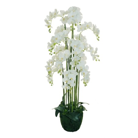 Plante artificielle de phalaenopsis toucher réel sur terreau, 155 cm - blanc 