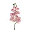 Lot de 12 - Tige artificielle d'orchidée phalaenopsis toucher réel X7, 102 cm - violet lilas crème 