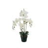 Lot de 6 - Grande plante artificielle d'orchidée phalaenopsis toucher réel en pot, 80 cm - blanc 