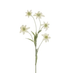 Lot de 24 - Tige artificielle d'edelweiss floquée X5, 62 cm - blanc 