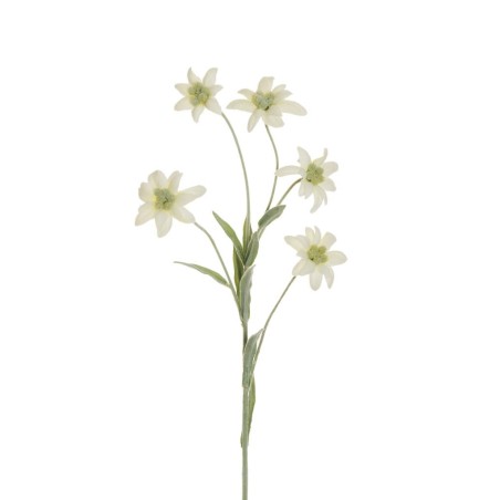 Lot de 24 - Tige artificielle d'edelweiss floquée X5, 62 cm - blanc 