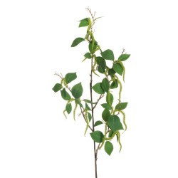 Lot de 12 - Tige artificielle d'amarante, 105 cm - vert clair 