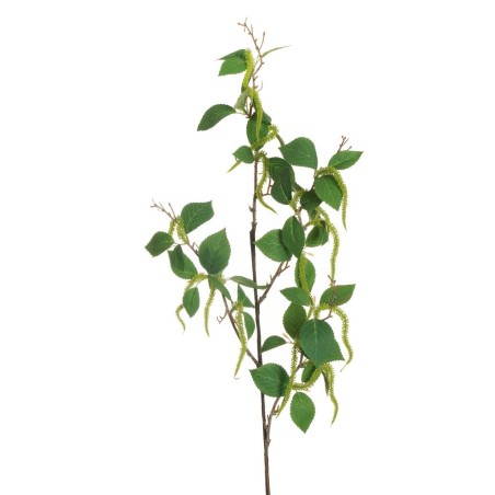 Lot de 12 - Tige artificielle d'amarante, 105 cm - vert clair 