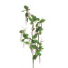 Lot de 12 - Tige artificielle d'amarante, 105 cm - bordeaux 