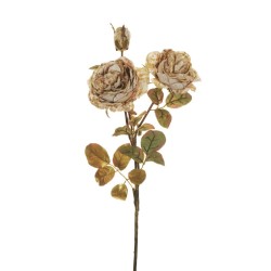 Lot de 18 - Tige artificielle de rose Austin métallisée X3, 65 cm - crème or 