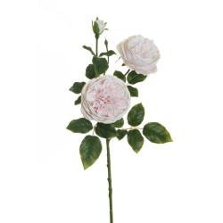 Lot de 16 - Tige artificielle de rose Austin X3, 77 cm - rose clair crème 