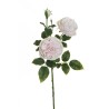 Lot de 16 - Tige artificielle de rose Austin X3, 77 cm - rose clair crème 