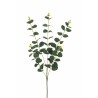 Lot de 36 - Tige artificielle d'eucalyptus X5, 65 cm - vert gris 