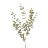 Lot de 12 - Longue branche artificielle d'eucalyptus toucher réel X5, 110 cm - gris 