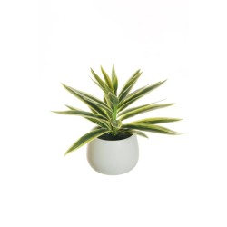 Lot de 4 - Plante artificielle de dracaena toucher réel en pot céramique, 26 cm - vert crème 