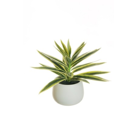 Lot de 4 - Plante artificielle de dracaena toucher réel en pot céramique, 26 cm - vert crème 