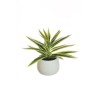Lot de 4 - Plante artificielle de dracaena toucher réel en pot céramique, 26 cm - vert crème 