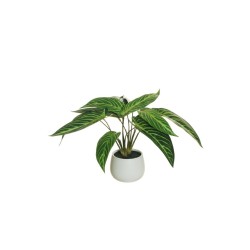 Lot de 4 - Plante artificielle de calathea toucher réel en pot céramique, 30 cm - vert 