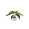 Lot de 4 - Plante artificielle de calathea toucher réel en pot céramique, 30 cm - vert 