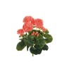 Lot de 12 - Buisson artificiel de géraniums X8, 36 cm - saumon vif 